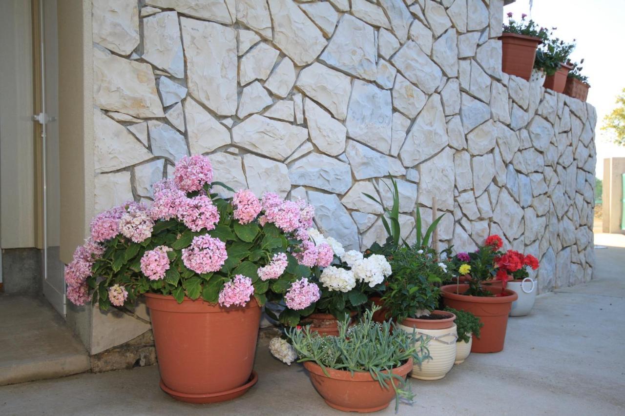 Apartments With A Parking Space Punta Kriza, Cres - 8082 Εξωτερικό φωτογραφία
